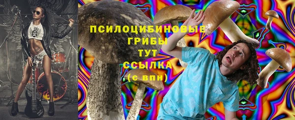 прущие грибы Лиски