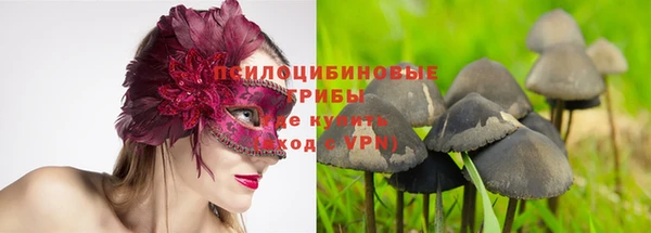 прущие грибы Лиски