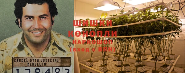 прущие грибы Лиски